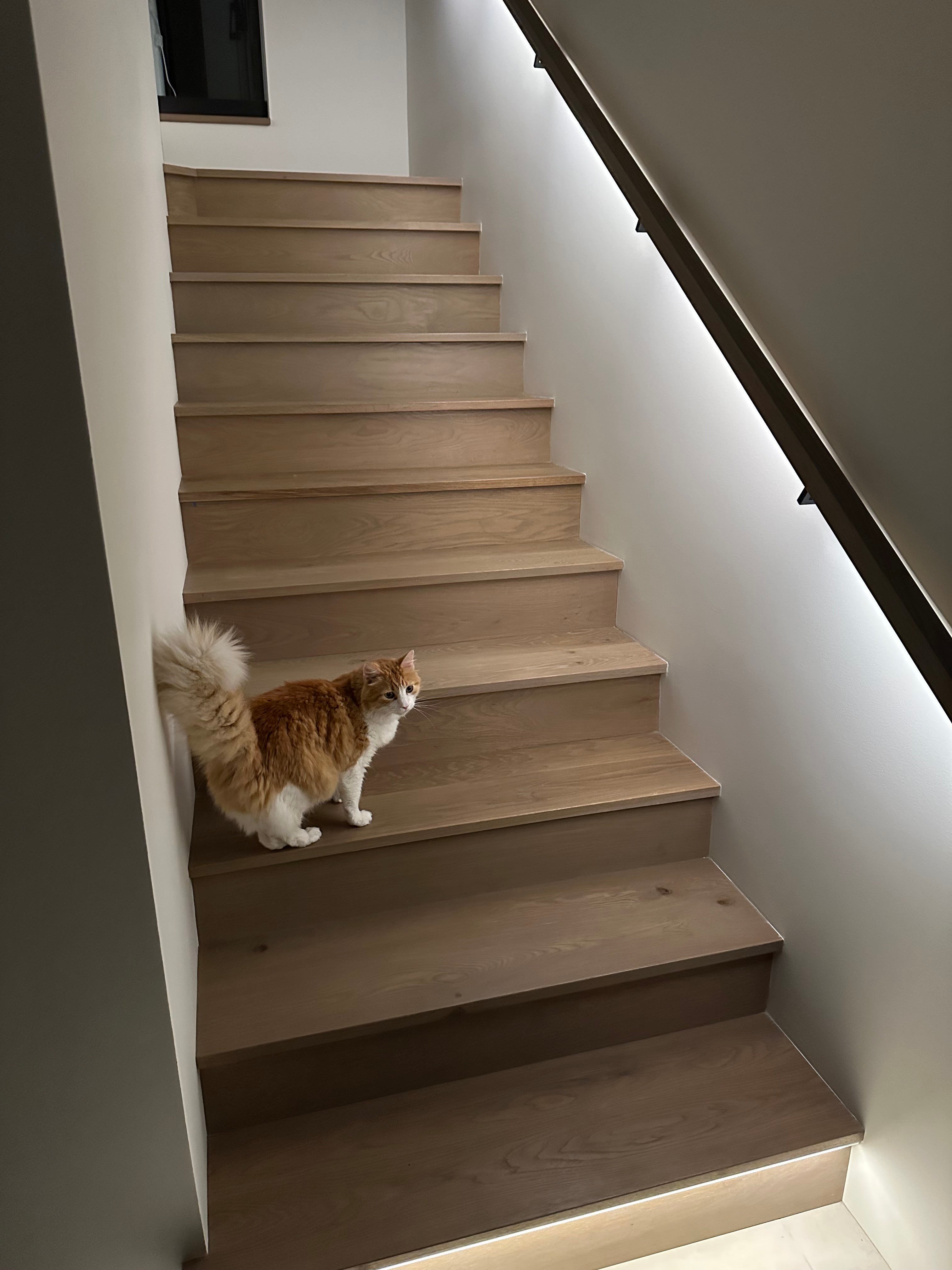LED Light Groove Add-On
